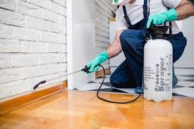 Best Residential Pest Control  in Deforest, WI